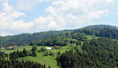 Nad Wisłą