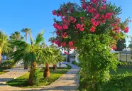 Nagi Beach