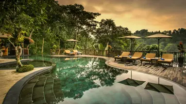 Nandini Jungle by Hanging Gardens