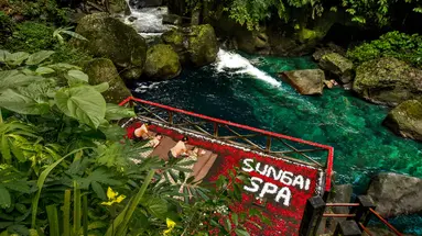 Nandini Jungle by Hanging Gardens