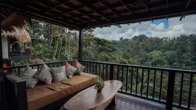 Nandini Jungle by Hanging Gardens