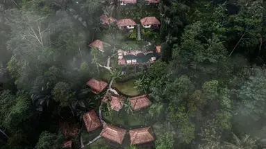 Nandini Jungle by Hanging Gardens