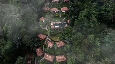 Nandini Jungle by Hanging Gardens