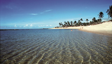 Nannai Beach Resort