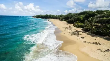 Natura Cabana