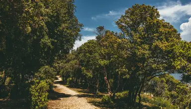 Naturist Koversada Park Apartments