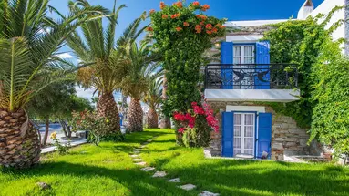 Naxos Holidays