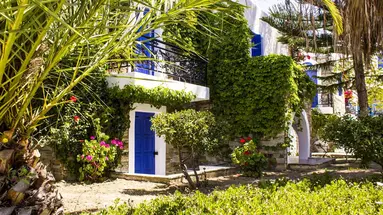 Naxos Holidays