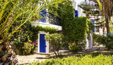 Naxos Holidays