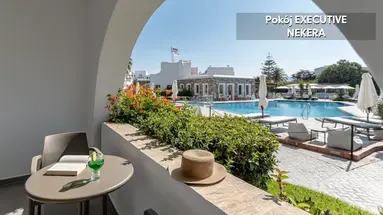 Naxos Resort Beach