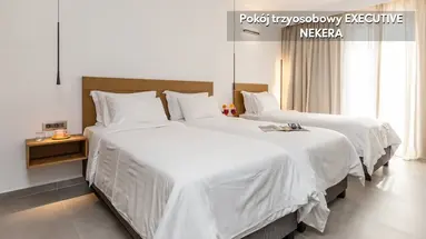 Naxos Resort Beach