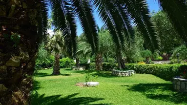 Nefeli (Daphnila - Kommeno)