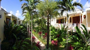 Negril Palms