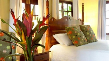 Negril Palms