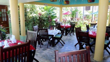 Negril Palms