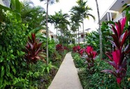 Negril Palms