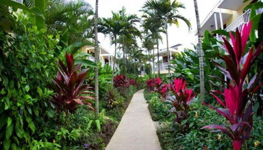 Negril Palms