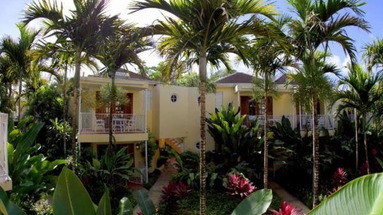 Negril Palms