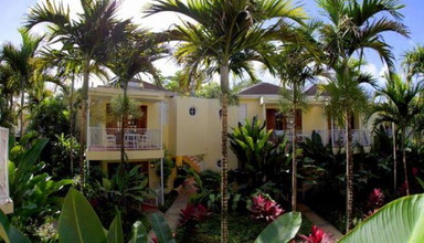 Negril Palms