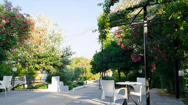 Nest (Faliraki)