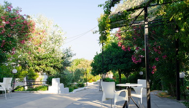 Nest (Faliraki)