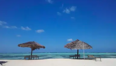 Nest Style Zanzibar
