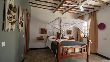 Nest Style Zanzibar