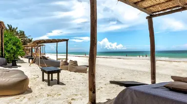 Nest Tulum