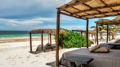 Nest Tulum