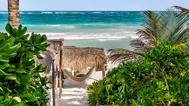 Nest Tulum