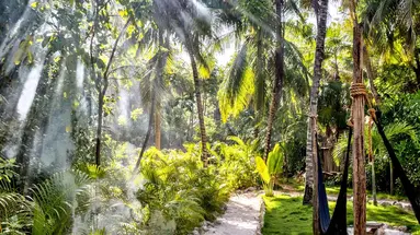 Nest Tulum