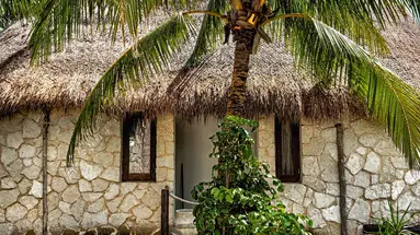 Nest Tulum