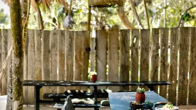 Nest Tulum