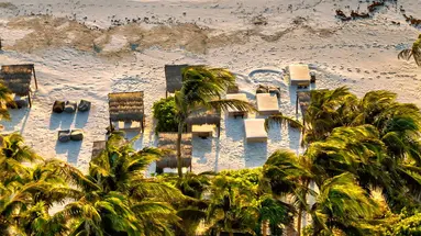 Nest Tulum