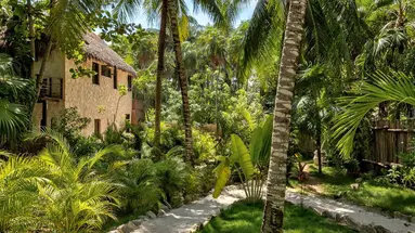Nest Tulum