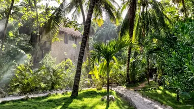 Nest Tulum
