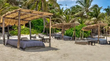 Nest Tulum