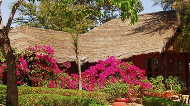 New Horizons Baobab Resort