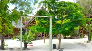 New Jambo Bungalows