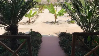 New Jambo Bungalows