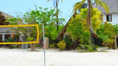 New Jambo Bungalows