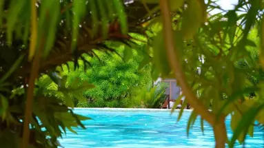 New Jambo Bungalows