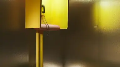 New