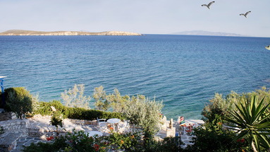 Nissiotiko