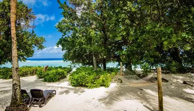 Niva Labriz Seychelles