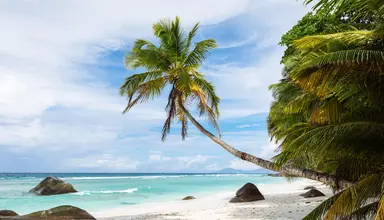 Niva Labriz Seychelles