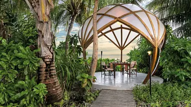 Niyama Maledives