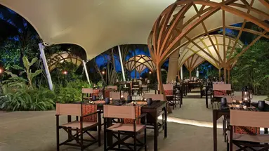 Niyama Maledives