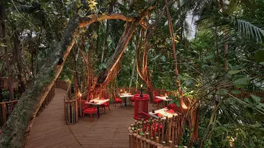 Niyama Maledives