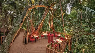 Niyama Maledives